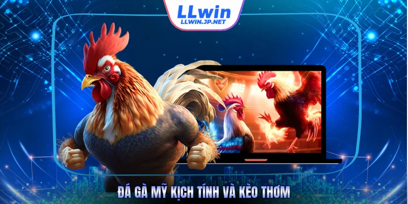 Đá gà Mỹ kịch tính và kèo thơm